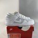 Nike SB Dunk Low Retro Cool Grey White 309431-115