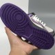 Nike Dunk SB Low Purple Pigeon shoes 304292-051