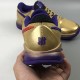 Scarpe Nike Kobe 5 Protro Undefeated Hall of Fame DA6809-700